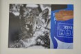 /album/a6-olhares-fotografia/dsc-0010-df-jpg/